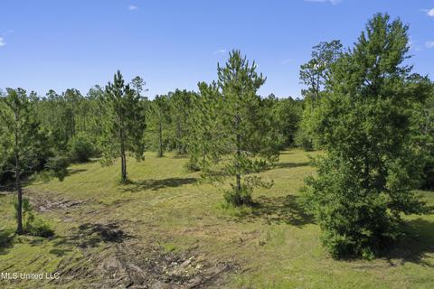 2549 Long Leaf Dr, Perkinston, MS 39573 photo 39