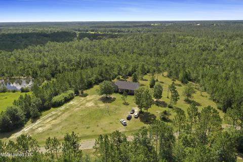 2549 Long Leaf Dr, Perkinston, MS 39573 photo 35