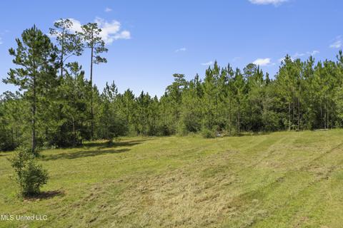 2549 Long Leaf Dr, Perkinston, MS 39573 photo 40
