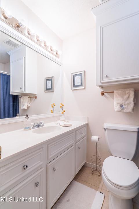 225 Cobblestone Dr, Madison, MS 39110 photo 20