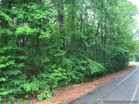 Cox Ferry Rd Road, Flora, MS 39071 photo 1