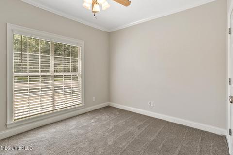 101 Apache Ct, Clinton, MS 39056 photo 20