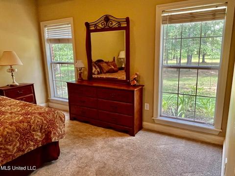 708 Forest Woods Dr, Byram, MS 39272 photo 12