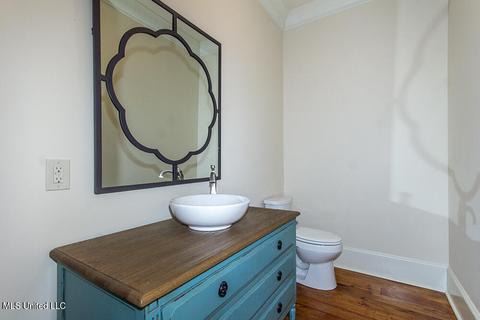 304 Covington Cv, Madison, MS 39110 photo 30
