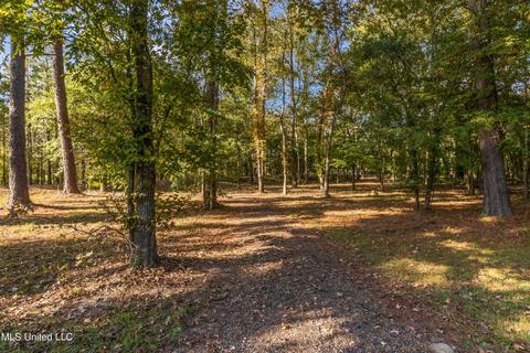 614 Post Oak Pl, Pearl, MS 39208 photo 22