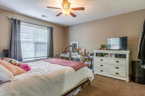 3395 Stone Meadow Cv, Nesbit, MS 38651 photo 23