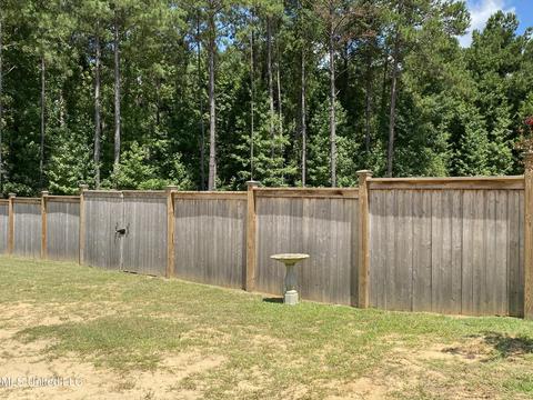 302 Ammerman Cv, Florence, MS 39073 photo 71