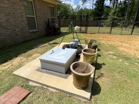 302 Ammerman Cv, Florence, MS 39073 photo 60