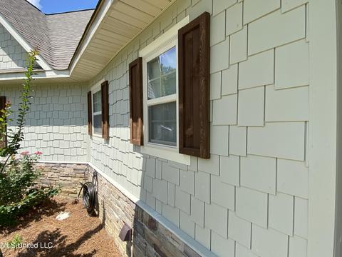 302 Ammerman Cv, Florence, MS 39073 photo 68