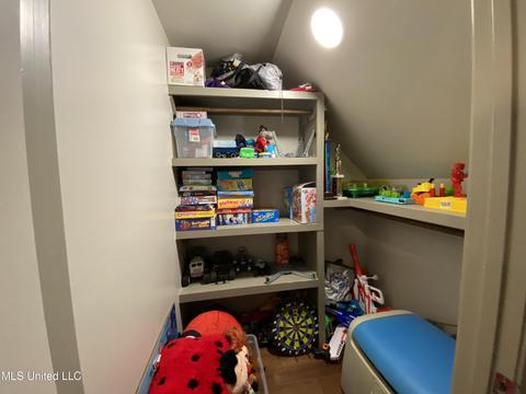 302 Ammerman Cv, Florence, MS 39073 photo 44