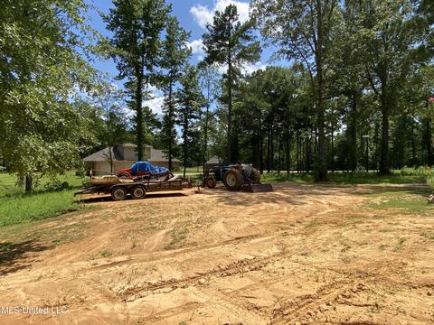 302 Ammerman Cv, Florence, MS 39073 photo 67
