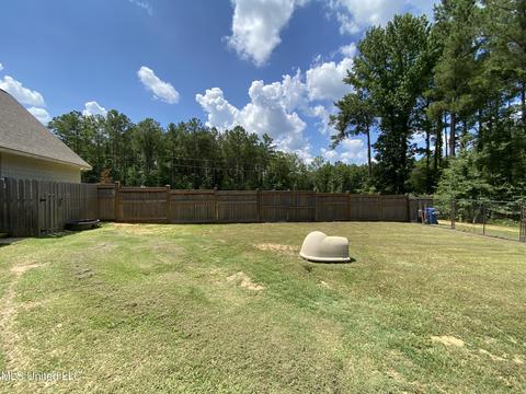 302 Ammerman Cv, Florence, MS 39073 photo 64