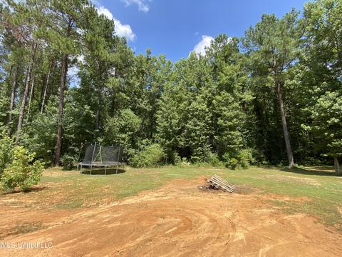 302 Ammerman Cv, Florence, MS 39073 photo 66