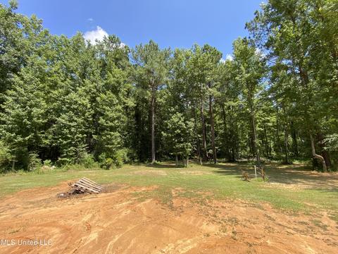 302 Ammerman Cv, Florence, MS 39073 photo 65