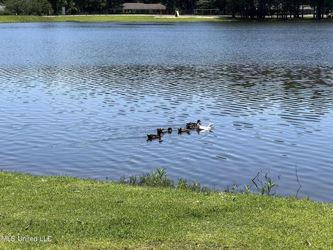 115 Longwood Dr, Florence, MS 39073 photo 9