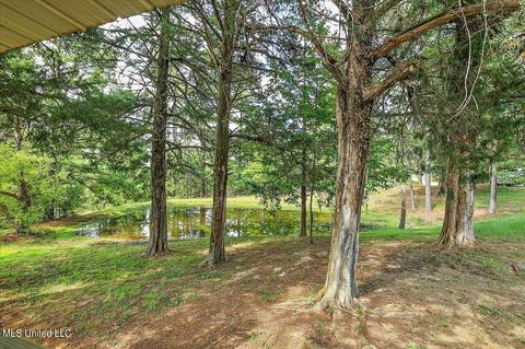 243 Mcdonald Rd, Florence, MS 39073 photo 7