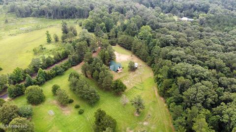 243 Mcdonald Rd, Florence, MS 39073 photo 46