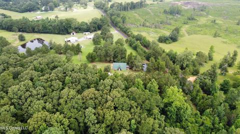 243 Mcdonald Rd, Florence, MS 39073 photo 48