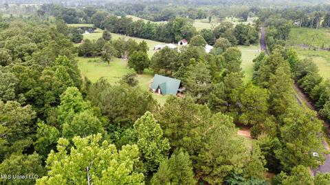 243 Mcdonald Rd, Florence, MS 39073 photo 47
