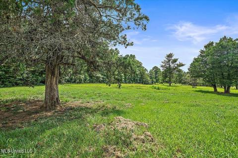 243 Mcdonald Rd, Florence, MS 39073 photo 11