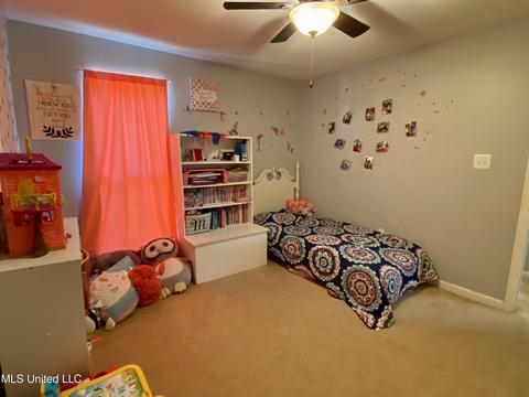 6686 White Hawk Ln, Olive Branch, MS 38654 photo 27