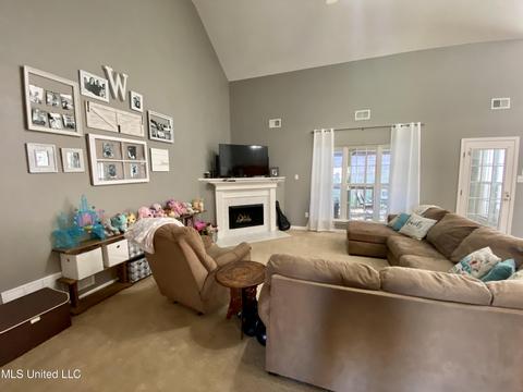 6686 White Hawk Ln, Olive Branch, MS 38654 photo 6