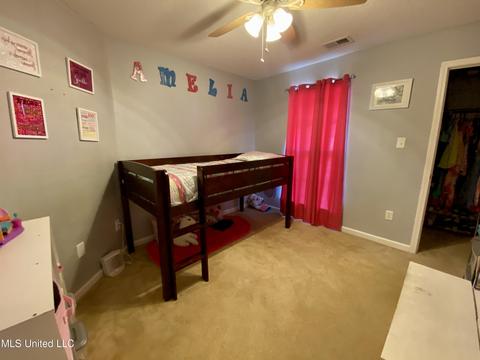 6686 White Hawk Ln, Olive Branch, MS 38654 photo 22