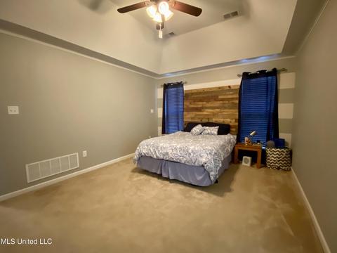 6686 White Hawk Ln, Olive Branch, MS 38654 photo 17