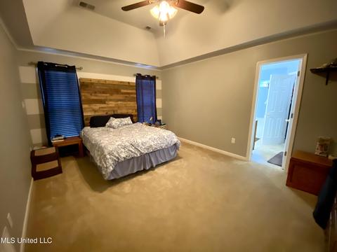 6686 White Hawk Ln, Olive Branch, MS 38654 photo 16