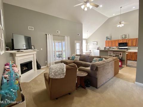 6686 White Hawk Ln, Olive Branch, MS 38654 photo 5
