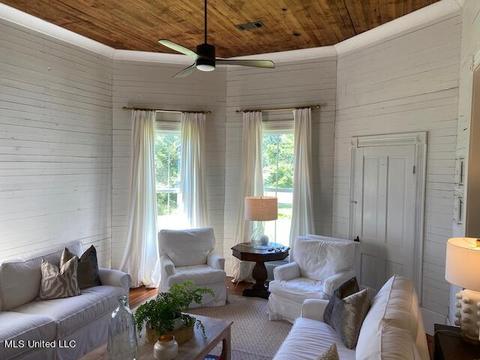 313 Cox Ferry Rd, Flora, MS 39071 photo 4