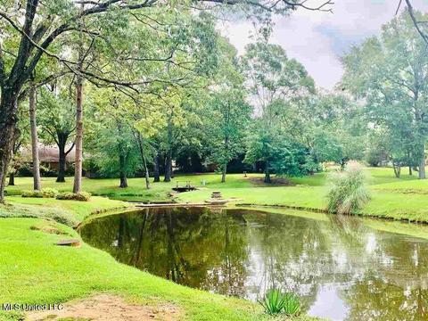 25 Shore Dr, Clinton, MS 39056 photo 3