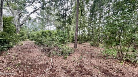 West Wortham Rd, Saucier, MS 39574 photo 6