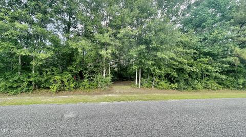 West Wortham Rd, Saucier, MS 39574 photo 2