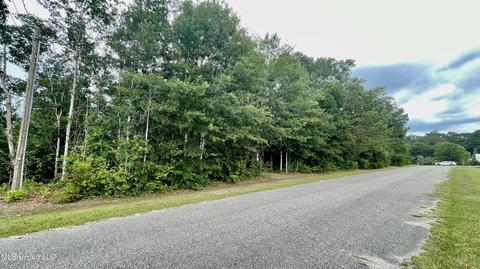 West Wortham Rd, Saucier, MS 39574 photo 3