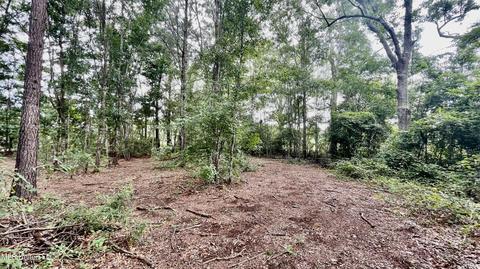West Wortham Rd, Saucier, MS 39574 photo 5