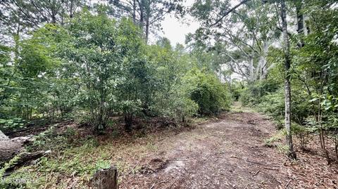 West Wortham Rd, Saucier, MS 39574 photo 4