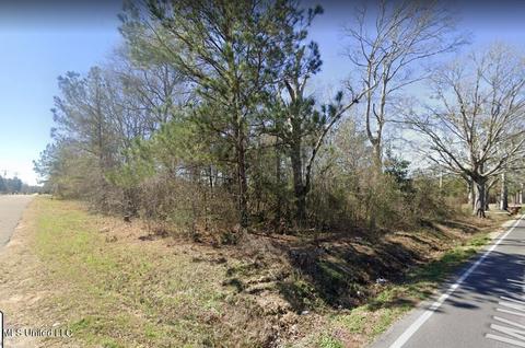 West Wortham Rd, Saucier, MS 39574 photo 9