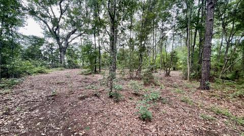 West Wortham Rd, Saucier, MS 39574 photo 7