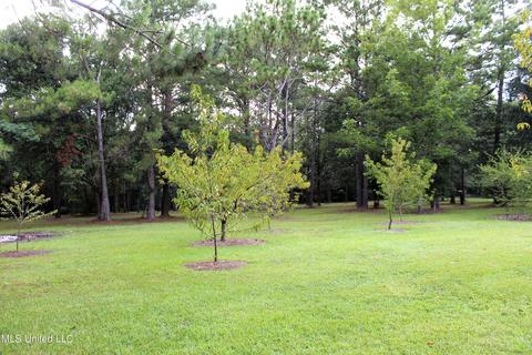 280 Grain Elevator Rd, Lucedale, MS 39452 photo 36