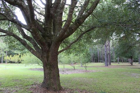 280 Grain Elevator Rd, Lucedale, MS 39452 photo 39