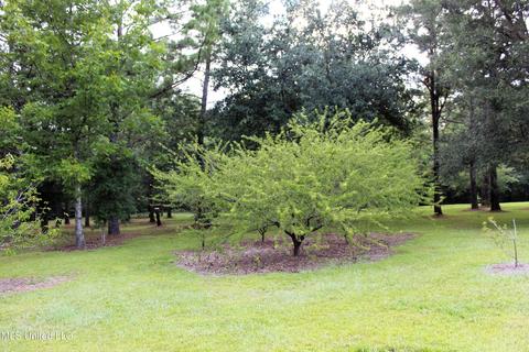 280 Grain Elevator Rd, Lucedale, MS 39452 photo 37