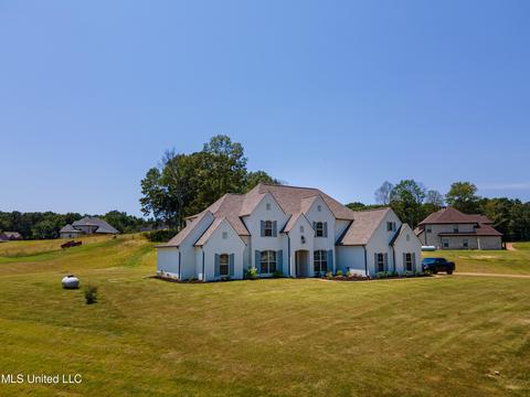 7897 Ellis Anthony Cv, Hernando, MS 38632 photo 3
