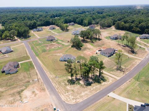 7897 Ellis Anthony Cv, Hernando, MS 38632 photo 18