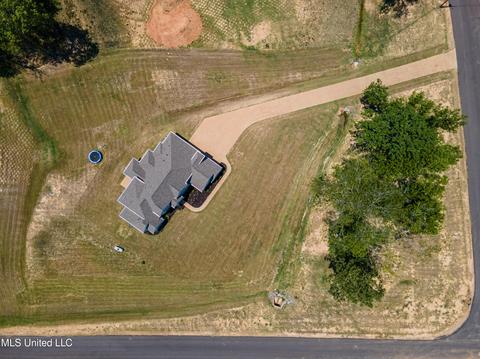 7897 Ellis Anthony Cv, Hernando, MS 38632 photo 16