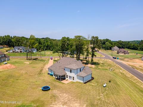 7897 Ellis Anthony Cv, Hernando, MS 38632 photo 14
