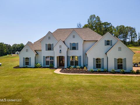 7897 Ellis Anthony Cv, Hernando, MS 38632 photo 1