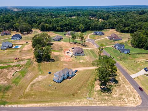 7897 Ellis Anthony Cv, Hernando, MS 38632 photo 17