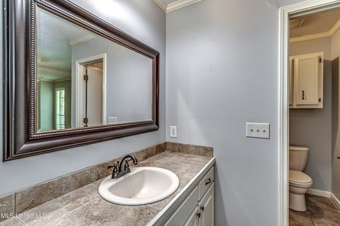 75 Willowbrook Ln, Brandon, MS 39042 photo 43