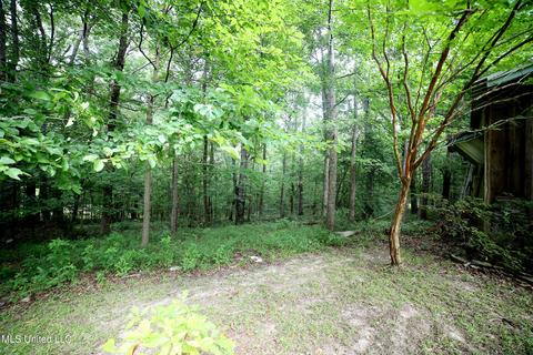 109 Mickie Dr, Brandon, MS 39042 photo 52